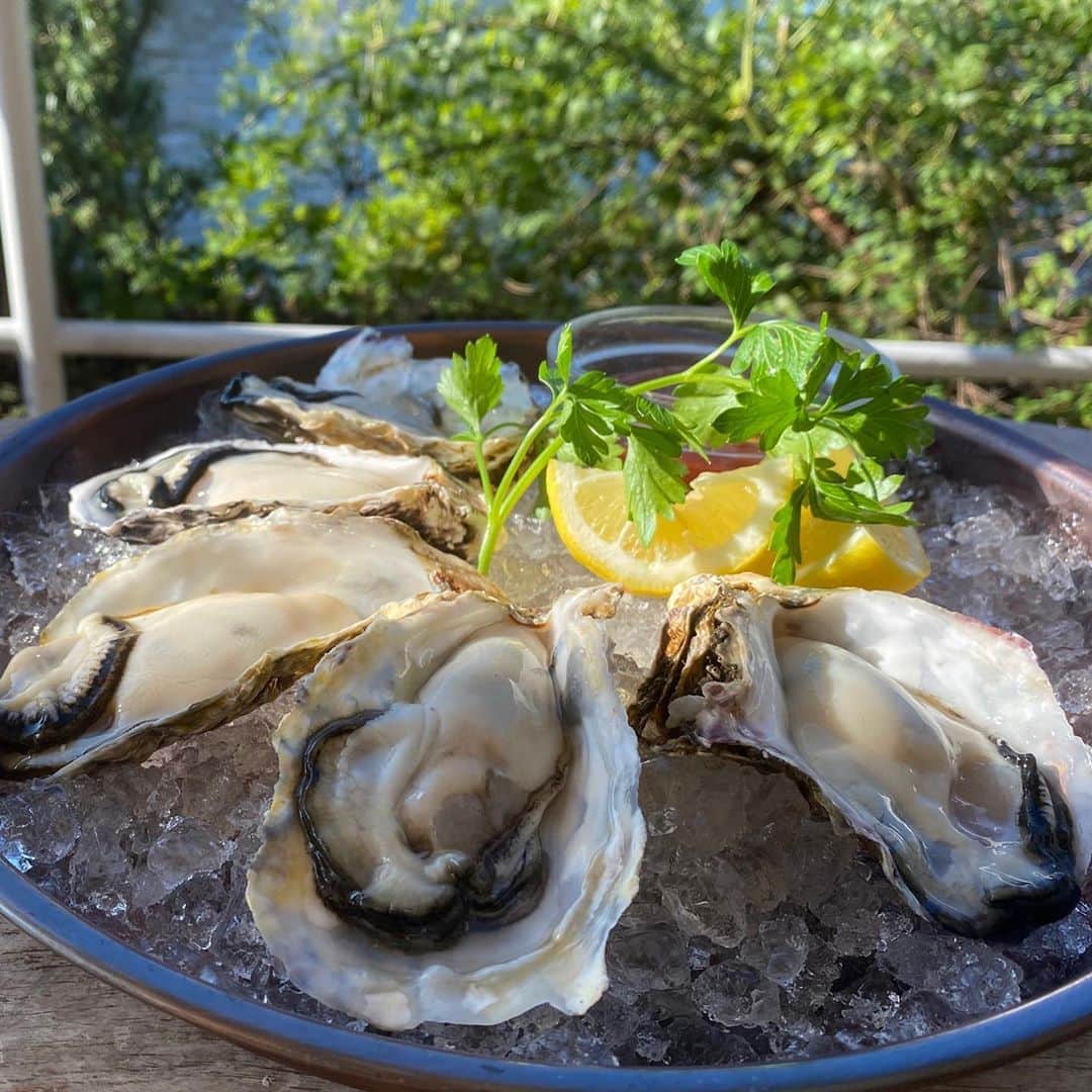 TYSONS&COMPANYのグルメインスタ