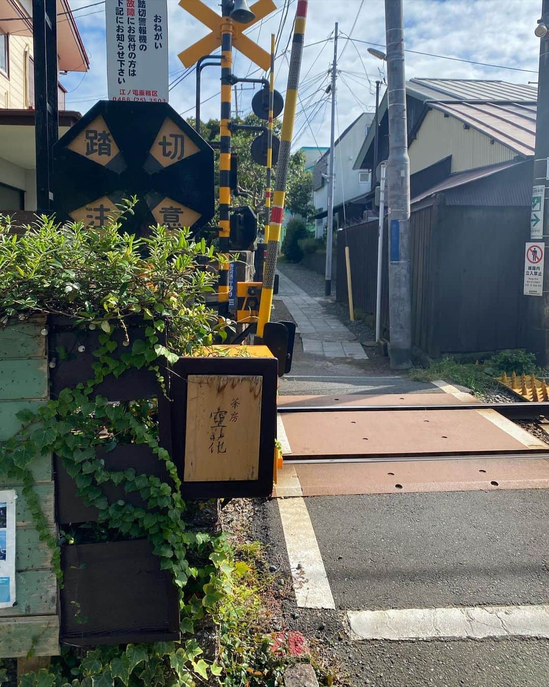 高橋愛のグルメインスタ