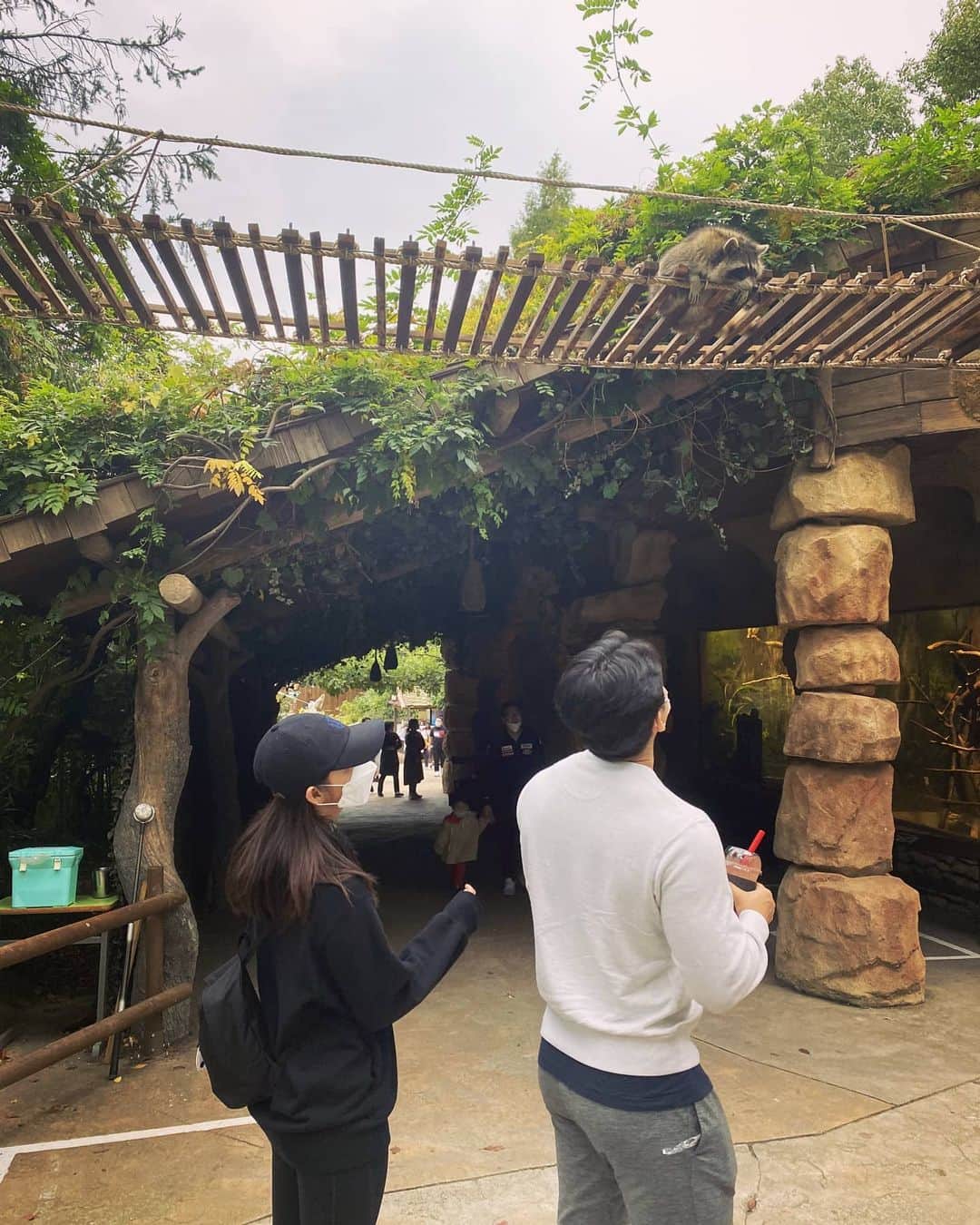 のインスタグラム：「안녕 라쿤❤  Photo by. @nohhyeri__」