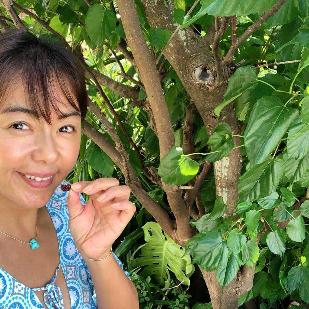 田中律子のインスタグラム