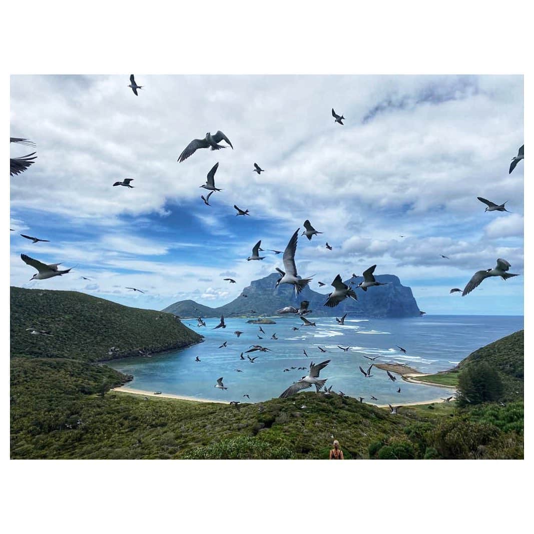 エルサ・パタキーのインスタグラム：「Lord Howe Island 💫  We feel really lucky to have been able to spend a short weekend away from home. @visitlordhoweisland is one of the most sustainable places in the world and it’s been a pleasure to experience this paradise. 2020 has been really tough for communities like this one who rely on tourism and it’s important to support them once it’s safe to do so. Thanks to @islandhouse.lhi for taking care of us 🙏🏼 •  Nos sentimos muy afortunados de haber disfrutado de este paraíso durante el fin de semana. @visitlordhoweisland es uno de los lugares más sostenibles del mundo. 2020 ha sido muy duro para comunidades como esta las cuales sobreviven gracias al turismo por lo que es muy importante apoyarles. Gracias a @islandhouse.lhi por cuidarnos 🙏🏼」