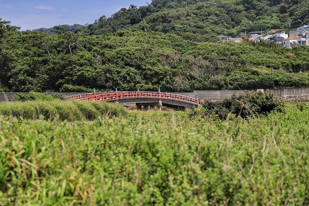 葉山町さんのインスタグラム写真 - (葉山町Instagram)「- 赤い橋を見つけると 千と千尋ごっこしちゃう世代です  #葉山歩き #葉山 #hayama #臨御橋 #大浜海岸 と #長者ヶ崎 の間にある #赤い橋 りんごばしではなく #りんぎょばし #redbridge #japantravel #remotetravel #橋 を渡るだけで #特別な気分 #勝手に息止めて #千と千尋の神隠しごっこ #トンネルのむこうは不思議の町でした #今日もおつかれさまでした #臨御橋架け替えプロジェクト は町HPを見てね」10月12日 20時33分 - hayama_official