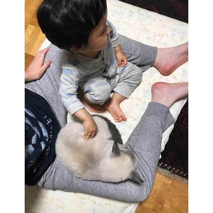 松田青子のインスタグラム：「夕方、教育テレビを見る我ら。」