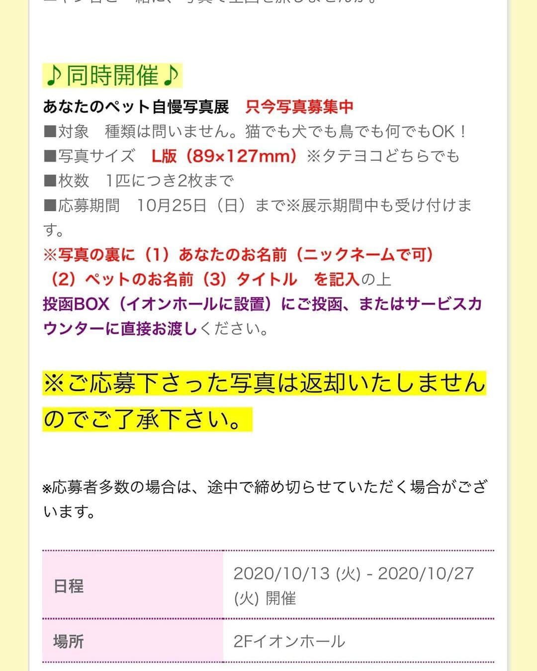 Nyankichi Noranekoさんのインスタグラム写真 - (Nyankichi NoranekoInstagram)「さぁ、10月13日(火)からイオンモール隼人国分ショッピングセンター ２階イオンホールで「旅猫 ニャン吉写真展」が始まりますよ～😸 10月27日(火)まで開催しまーす！ ぼくの故郷 鹿児島で、みなさまに笑顔と元気をお届けします。 新作写真もたくさんあります❣️ みなさん遊びに来てくださいにゃり😀  嘻，由10月13日(星期二）至10月27日(星期二），在永旺購物中心隼人國分分店2樓的永旺大堂，「旅貓喵吉寫真展」開始了😺 在我的家鄉鹿兒島，為大家送上我的笑臉及朝氣。 大量全新拍攝的照片❣ 請大家過來玩喵哩😀  Hey, 「Nyankichi Photo Exhibition 」will start from October 13th to 27th at the Aeon Hall ,2nd floor, Hayatocho Mitsuki, Kirishima,  Kagoshima branch of AEON Mall😺 I will give everyone a smile and vigor in my hometown,  Kagoshima.  Lots of newly taken photos❣️ Please come and play meow😀  #猫 #cat #고양이 #แมว #貓 #кошка #qata #chat #ニャンスタグラム #gato #catsofinstagram #ねこ部 #旅猫 #cats #野良猫 #ニャン吉 #japan #猫写真 #ねこ #seekor #ネコ #kitty #catlover #動物 #イオンモール隼人 #AEON MALL #イオン #写真展 #kucing #kucinglucu」10月12日 20時47分 - noraneko_nyankichi