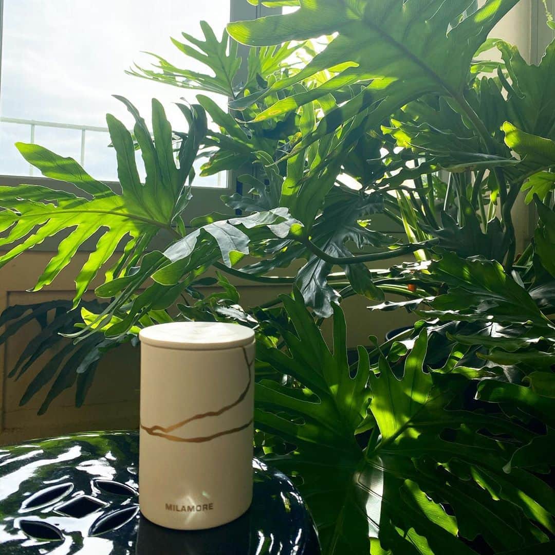 稲木ジョージのインスタグラム：「#Kintsugi」