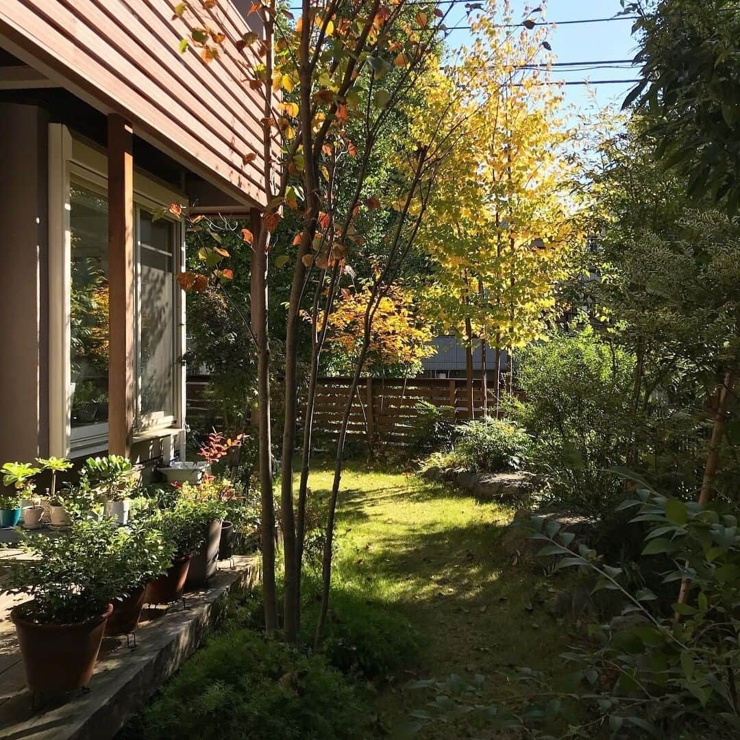 ムクリ［mukuri］さんのインスタグラム写真 - (ムクリ［mukuri］Instagram)「素材や色で季節感を取り入れた居心地の良い空間〜ぬくもりを感じる秋支度〜  10月に入って数日が経ち、 秋のインテリアについて考え始めた方もいると思います。  そこでコラムではnorikoさんの 「インテリアの秋支度」の様子をお届けします。  ブルーのソファを秋らしく見せるための色合わせの工夫や テーブルクロスでは同じブルーでもどんなブルーを選んだら秋らしく見えるかなど参考になりますよ♩  秋を感じるカラーのボルドーのお花やドライフラワーなど 取り入れやすいアイテムについてもご紹介しています。 ぜひご覧ください。  ▶︎ご紹介した記事 https://mukuri.themedia.jp/posts/7013961 「あの人の暮らしが素敵な理由」コーナーからご覧いただけます。 （キャプション：編集長）  #秋支度 #北欧インテリア #北欧ヴィンテージ #注文住宅 #マイホーム #リビング #ダイニング #HAY #IKEA #名古屋モザイク #北欧雑貨#無印良品 #北欧家具 #マイホーム計画 #マイホーム記録 #家づくり#おうち #新築 #新築一戸建て #マンションインテリア #賃貸インテリア #インテリア #ライフスタイル #暮らしの道具 #暮らしを楽しむ #丁寧な暮らし #緑のある暮らし #花のある暮らし #くらしの編集 #ムクリ」10月12日 20時55分 - mukuri_official