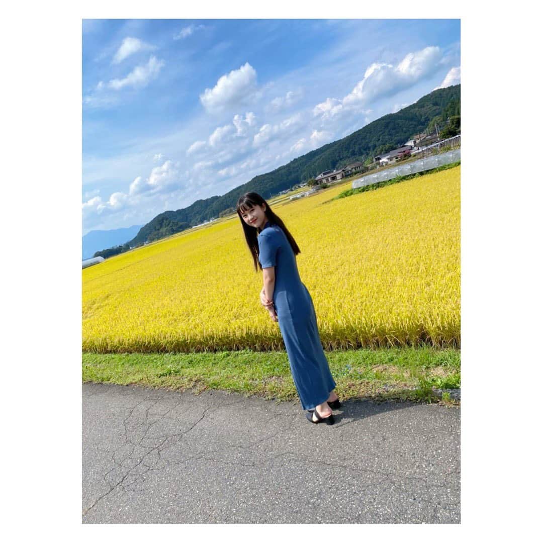 のインスタグラム：「・﻿ ﻿ ﻿ ﻿ こういう自然がたくさんあるところって﻿ すごい落ち着く😌﻿ ﻿ ﻿ ﻿ #稲穂🌾﻿ ﻿ ﻿」