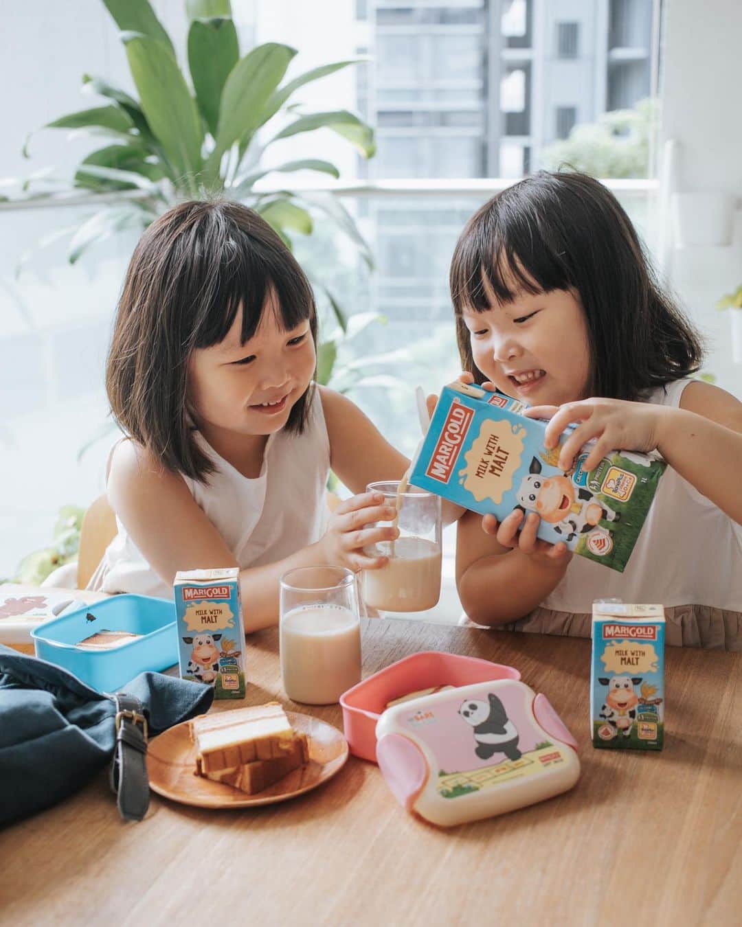 MOMOツインズのインスタグラム：「[GIVEAWAY] Breakfast with the NEW MARIGOLD UHT Milk with Malt. Made with real malt, contains 6 vitamins (A, B1, B2, B12, C and D3), protein, calcium and MARIGOLD’s unique BonePlus formulation that is necessary for healthy development of bones and teeth.  It’s not too sweet and the girls enjoy having it with sandwiches or cereals. They like to bring along one of these for picnics too!  We are giving away 3 MARIGOLD UHT Milk with Malt bundles. Simply like this post, tag a friend and share with us why you would like to try this in our comments section and you stand a chance to win. Giveaway closes 15 Oct. Applicable for local residents only.  #marigoldsg #maltiplythegoodness #mguhtmilk #sp」