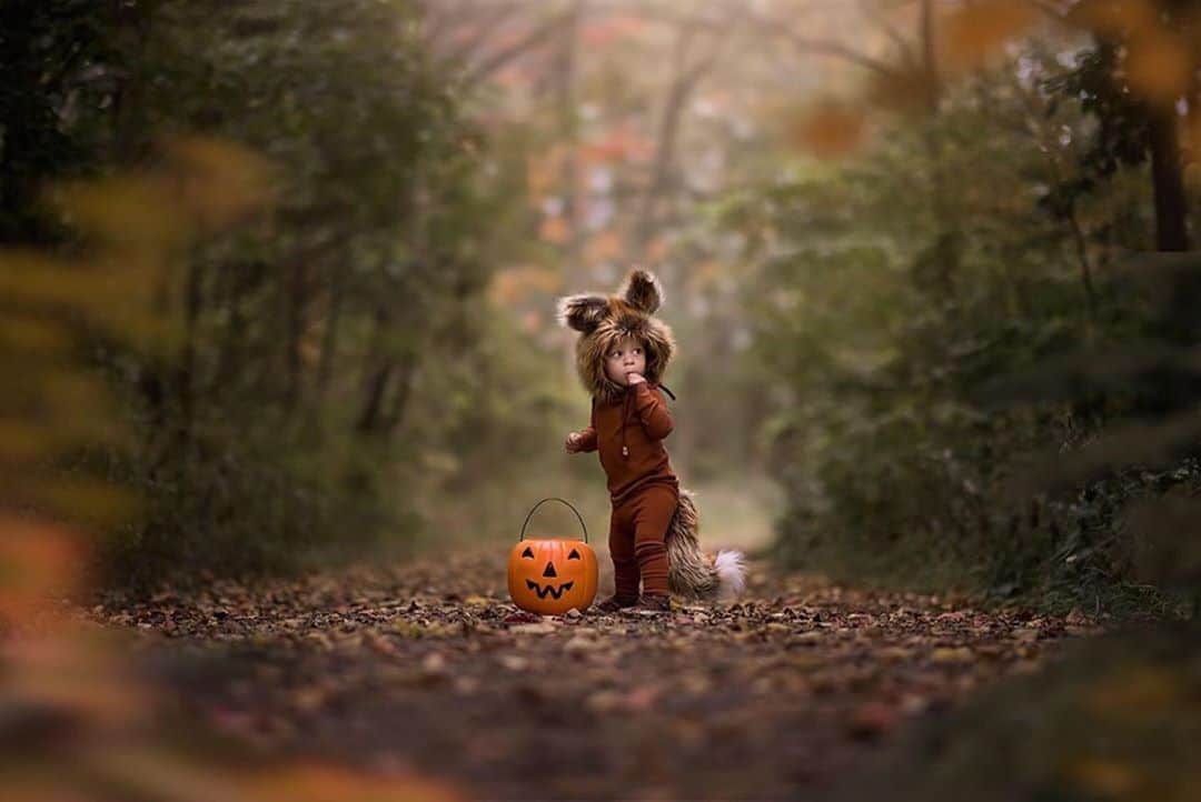 CANON USAさんのインスタグラム写真 - (CANON USAInstagram)「Thank you to #TeamCanon member @jamieeilts for sharing this cute photo of a fox sneaking some candy! 😉Use the hashtag #SpookyWithCanon for a chance to see your images featured on our feed! 🧡🦊  📸 #Canon EOS R5 with Mount Adapter EF-EOS R Lens: EF 85mm f/1.4L IS USM」10月12日 22時04分 - canonusa