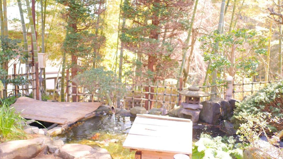 温泉はずきさんのインスタグラム写真 - (温泉はずきInstagram)「網代温泉　竹林庵　みずの　 0115 熱海に行くならおすすめのお宿さんです！ ここは客室露天風呂です。 オーシャンビューの最高の立地。  こちらのホームページもよろしくお願いします！ http://onsen-hazuki.jp/onsen-report/  YouTubeもやってます。 湯めぐり女子ちゃんねる　で検索！  #onsenhotpools #温泉旅行 #温泉デート #混浴 #温泉 #入浴 #裸  #お風呂 #onsen #温泉アイドル #温泉タレント #温泉女子  #溫泉 #hotsprings #온천 #混浴温泉 #bath #bathroom  #♨️ #portrait #bad #spa #japanesegirls #網代温泉 #japanesemodel #bathtime #bath  #温泉モデル  #風呂　#熱海温泉」10月12日 22時12分 - yumegurionsen
