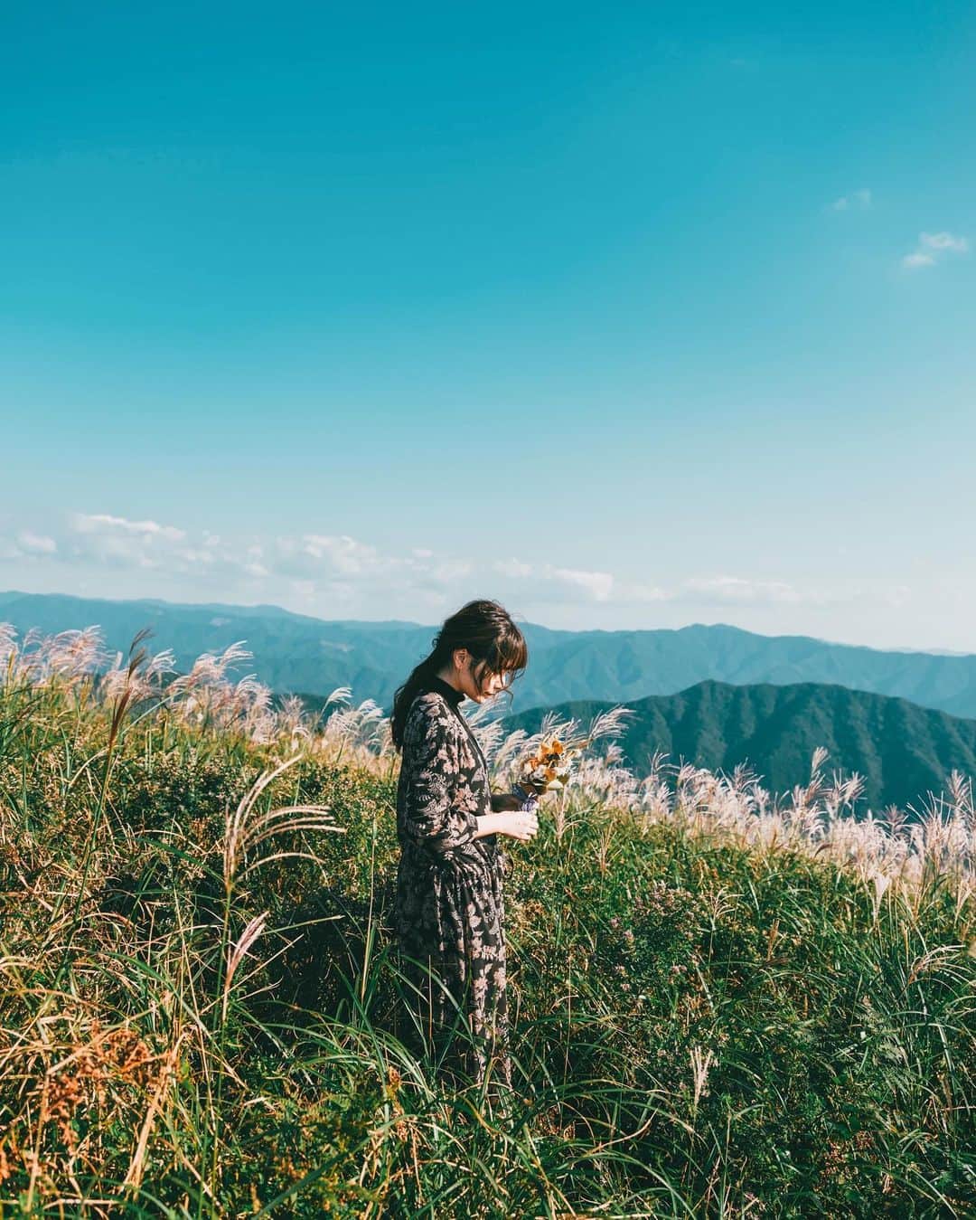 shinichi38のインスタグラム：「﻿ Autumn deepens 🌾」