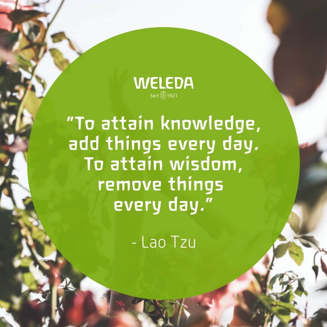 Weledaのインスタグラム：「Editing your life is so very important! 🌿 What are you removing today? #Quoteoftheday」