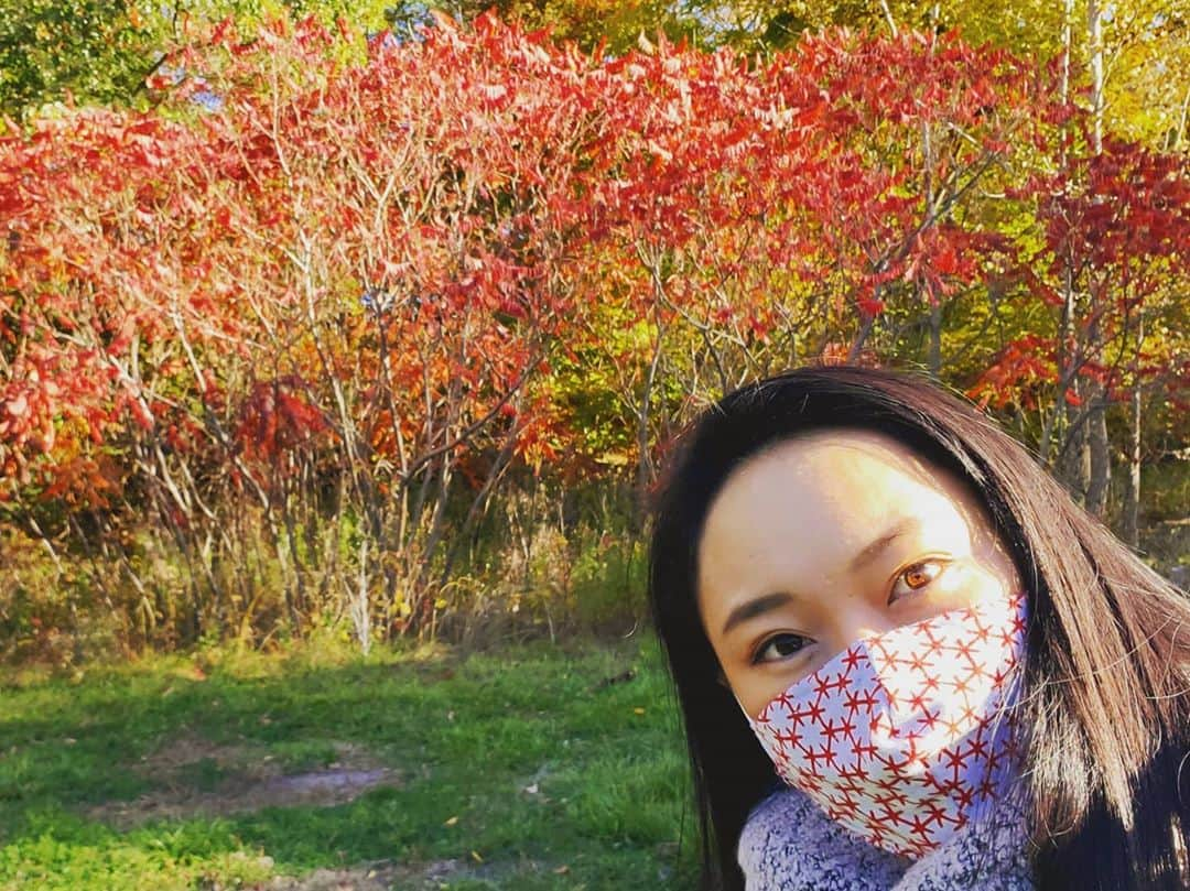 鈴木みほのインスタグラム：「Autumn blessings.  Are they salmon?? But the ocean is not close by...I've never seen this before! So big... 秋の恵み。こちら本日12度でした。笑 川を上る大きな魚！？これはサケなのかな？海が近くもないし。。。  #autumn #autumnvibes🍁 #salmon #salmonrun #秋晴れ #紅葉  #鮭かな #川上り #散歩 #でかい魚」