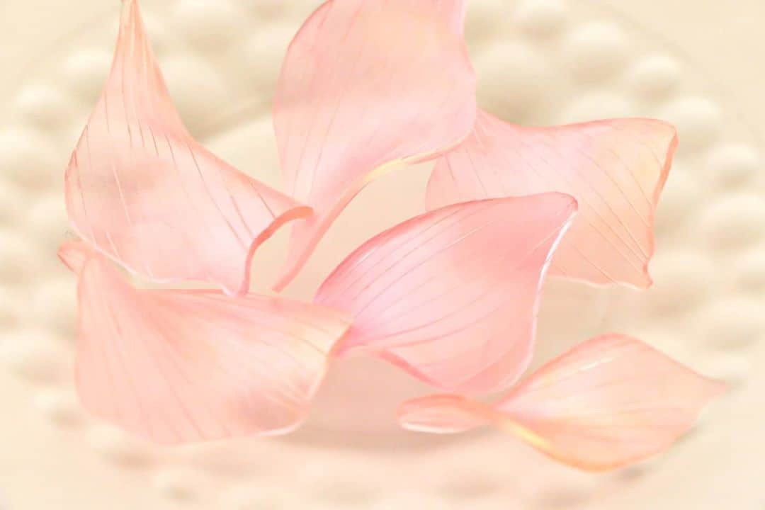 しば　さおりさんのインスタグラム写真 - (しば　さおりInstagram)「柔らかなピンクの花びら💠耳飾りに仕立てて、手作市場新宿マルイ本館店へお届けしました✨  @tezukuriichiba @tzkuri.east  新宿での委託販売は10/31までとなります(*^^*) お近くへお越しの際はお立ち寄り頂けたら嬉しいです。  #手作市場 #手作市場新宿マルイ本館店 #マルイ #新宿 #東京  #ハンドメイドピアス販売中 #ハンドメイドイヤリング販売中  #立体プラバン #プラバン #プラ板 #ぷらばん #プラバンアクセサリー #ハンドメイド #ハンドメイドアクセサリー #ハンドメイドイベント #癒し #フラワーアクセサリー #手仕事 #花の好きな人と繋がりたい  #花のあるくらし  #熱縮片  #ハンドメイド小物 #ハンドメイド雑貨 #shrinkplastic #handmade #instagramart #accessory」10月12日 22時58分 - koshiba0822