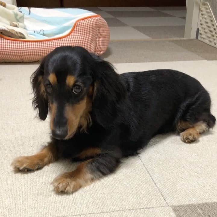Sora Momoのインスタグラム