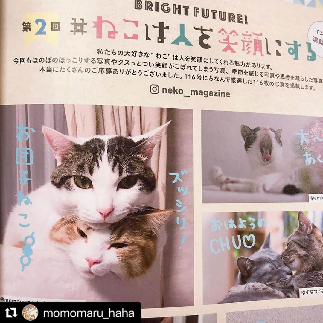 ねこさんのインスタグラム写真 - (ねこInstagram)「@momomaru_haha さん、ありがとうございます😊💕 気合いを入れて文字を書き書きさせてもらいましたっ🍖喜んでくれてうれぴー💕 またずっしりお団子ショット楽しみにしてるねっ🍡📸❤️ #Repost @momomaru_haha with @make_repost ・・・ 本日発売の雑誌「ねこ 116号」の「第2回 #ねこは人を笑顔にする 」に、団子ねこねこ の写真を掲載いただきました！ 手書きコメントが可愛くて楽し嬉しい❤︎ @neko_magazine さま、ありがとうございました。  この写真、まるが ぶちゃいく なので、撮った時はお蔵入りしてたのだけど、@lala_stamp さまや @rei4834 さまが絵にしてくださったので、お気に入りになりましたん。 。 #ねこ116号 #neko_magazine  #にゃんこバッグ参加したい #peppyフォト部 #みんなイヌみんなネコフォトコンテスト #猫カレンダー2022参加したい #猫壱キャンペーン #幸せ猫ぐらし #とろねこチャレンジ #ねこは人を笑顔にする #猫 #多頭飼い #保護猫 #ipet #LIMIA #サンデイ #ペコねこ部 #ねこすた #ねこのきもち#ねこのきもち部 #nyancon01 #cats_giftmall #peppyフォト部 #sippo #sippoストーリー  #ペトラフ #エブリニャン @todays_cat0 #ずっと一緒にいようにゃん #猫好きさんと繋がりたい」10月12日 22時59分 - neko_magazine