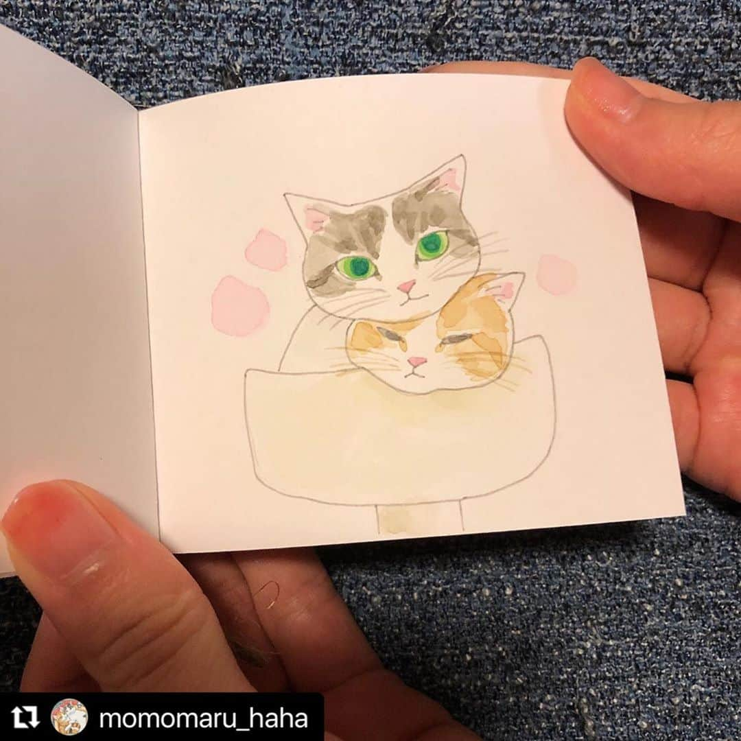 ねこさんのインスタグラム写真 - (ねこInstagram)「@momomaru_haha さん、ありがとうございます😊💕 気合いを入れて文字を書き書きさせてもらいましたっ🍖喜んでくれてうれぴー💕 またずっしりお団子ショット楽しみにしてるねっ🍡📸❤️ #Repost @momomaru_haha with @make_repost ・・・ 本日発売の雑誌「ねこ 116号」の「第2回 #ねこは人を笑顔にする 」に、団子ねこねこ の写真を掲載いただきました！ 手書きコメントが可愛くて楽し嬉しい❤︎ @neko_magazine さま、ありがとうございました。  この写真、まるが ぶちゃいく なので、撮った時はお蔵入りしてたのだけど、@lala_stamp さまや @rei4834 さまが絵にしてくださったので、お気に入りになりましたん。 。 #ねこ116号 #neko_magazine  #にゃんこバッグ参加したい #peppyフォト部 #みんなイヌみんなネコフォトコンテスト #猫カレンダー2022参加したい #猫壱キャンペーン #幸せ猫ぐらし #とろねこチャレンジ #ねこは人を笑顔にする #猫 #多頭飼い #保護猫 #ipet #LIMIA #サンデイ #ペコねこ部 #ねこすた #ねこのきもち#ねこのきもち部 #nyancon01 #cats_giftmall #peppyフォト部 #sippo #sippoストーリー  #ペトラフ #エブリニャン @todays_cat0 #ずっと一緒にいようにゃん #猫好きさんと繋がりたい」10月12日 22時59分 - neko_magazine