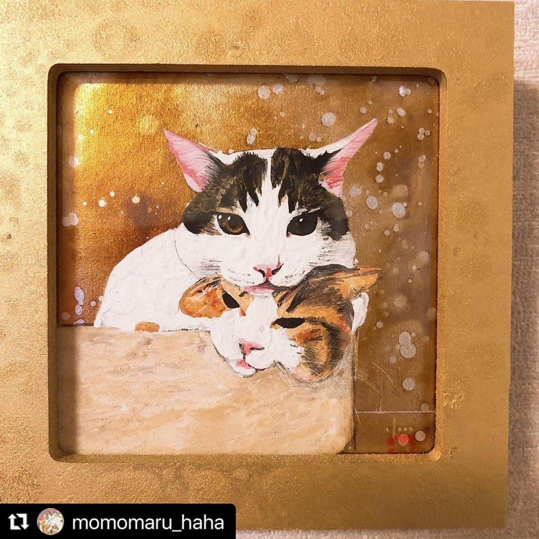 ねこさんのインスタグラム写真 - (ねこInstagram)「@momomaru_haha さん、ありがとうございます😊💕 気合いを入れて文字を書き書きさせてもらいましたっ🍖喜んでくれてうれぴー💕 またずっしりお団子ショット楽しみにしてるねっ🍡📸❤️ #Repost @momomaru_haha with @make_repost ・・・ 本日発売の雑誌「ねこ 116号」の「第2回 #ねこは人を笑顔にする 」に、団子ねこねこ の写真を掲載いただきました！ 手書きコメントが可愛くて楽し嬉しい❤︎ @neko_magazine さま、ありがとうございました。  この写真、まるが ぶちゃいく なので、撮った時はお蔵入りしてたのだけど、@lala_stamp さまや @rei4834 さまが絵にしてくださったので、お気に入りになりましたん。 。 #ねこ116号 #neko_magazine  #にゃんこバッグ参加したい #peppyフォト部 #みんなイヌみんなネコフォトコンテスト #猫カレンダー2022参加したい #猫壱キャンペーン #幸せ猫ぐらし #とろねこチャレンジ #ねこは人を笑顔にする #猫 #多頭飼い #保護猫 #ipet #LIMIA #サンデイ #ペコねこ部 #ねこすた #ねこのきもち#ねこのきもち部 #nyancon01 #cats_giftmall #peppyフォト部 #sippo #sippoストーリー  #ペトラフ #エブリニャン @todays_cat0 #ずっと一緒にいようにゃん #猫好きさんと繋がりたい」10月12日 22時59分 - neko_magazine