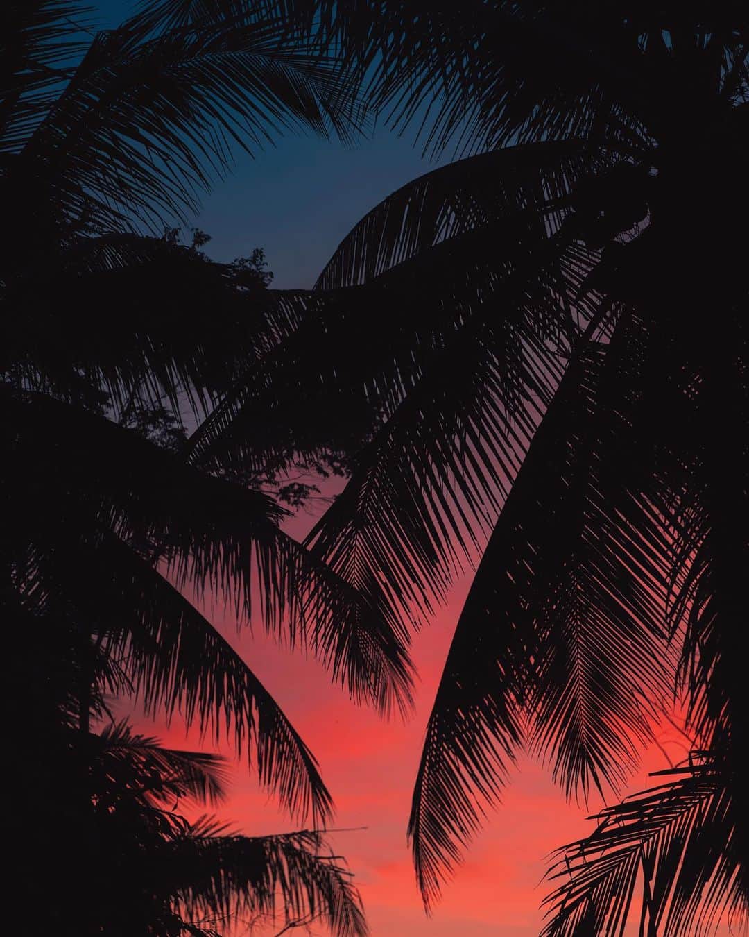 リリー＝ローズ・メロディさんのインスタグラム写真 - (リリー＝ローズ・メロディInstagram)「Good night beautiful island 🌴」10月12日 23時27分 - lilyrose