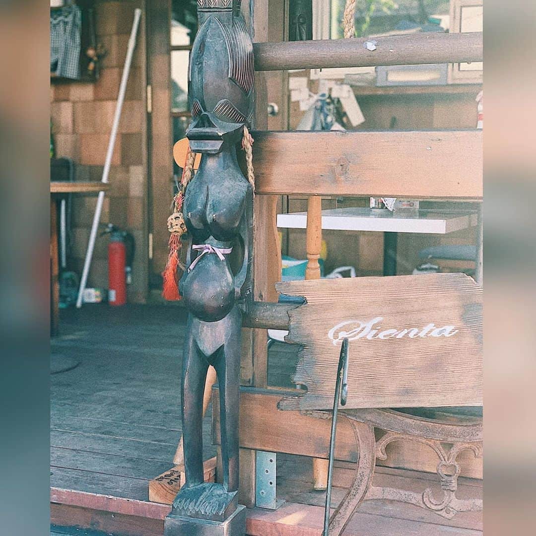 井上志帆子さんのインスタグラム写真 - (井上志帆子Instagram)「親戚がやってる焼き芋研究所🍠笑 人相悪い面白い優しいオジちゃん達がいるよ😀 わたしが好きなねっとり系芋は11月後半かららしい🍠 #焼き芋#🍠#芋#pr#案件#わたしに報酬ないよ😀#焼き芋好きと繋がりたい」10月12日 23時20分 - shiriko0316