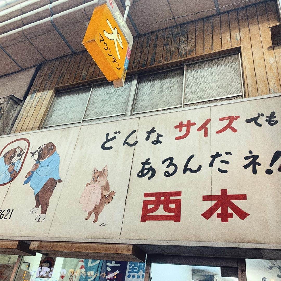 おかもとえみさんのインスタグラム写真 - (おかもとえみInstagram)「どんなサイズでもあるんだネ！ #武蔵小山　で見つけた心くすぐる看板🐶」10月12日 23時29分 - okp_emi