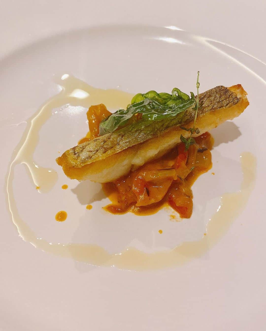 来栖あこさんのインスタグラム写真 - (来栖あこInstagram)「🍽 @diningbar.erde さんで 美味しいものを食べて✨ 元気もりもりパワーアップ🌈🌈 . ごちそうさまでした😋💕 . #イタリアンエルデ #新宿イタリアン #オムスパ #シェフ指名制 #モンテネグロワイン #お忍びデート #高級イタリアン #西新宿グルメ #pr #トリドリベース」10月12日 23時30分 - akopai.081