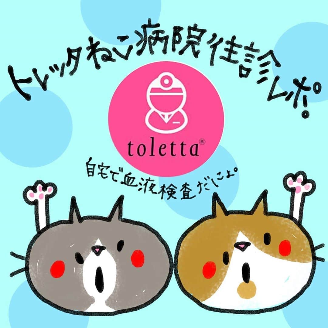 なっつ。のインスタグラム