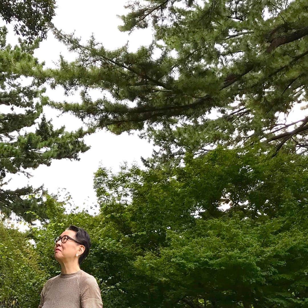 のインスタグラム：「とある都心の公園に、巨木を見に行きました。 靴も靴下も脱いで、裸足でふかふかの芝生の上を歩き回る。その間、約10分。 短い時間でもアーシングはできるのですね。 その夜はぐっすり。 裸足で立てるだけの土があれば、どこでもできるアーシング。 それだけ自然のチャージが足りてないということかもしれないけれど、日々上手く取り入れたいな。  #アーシング #裸足で自然の上に立つ」