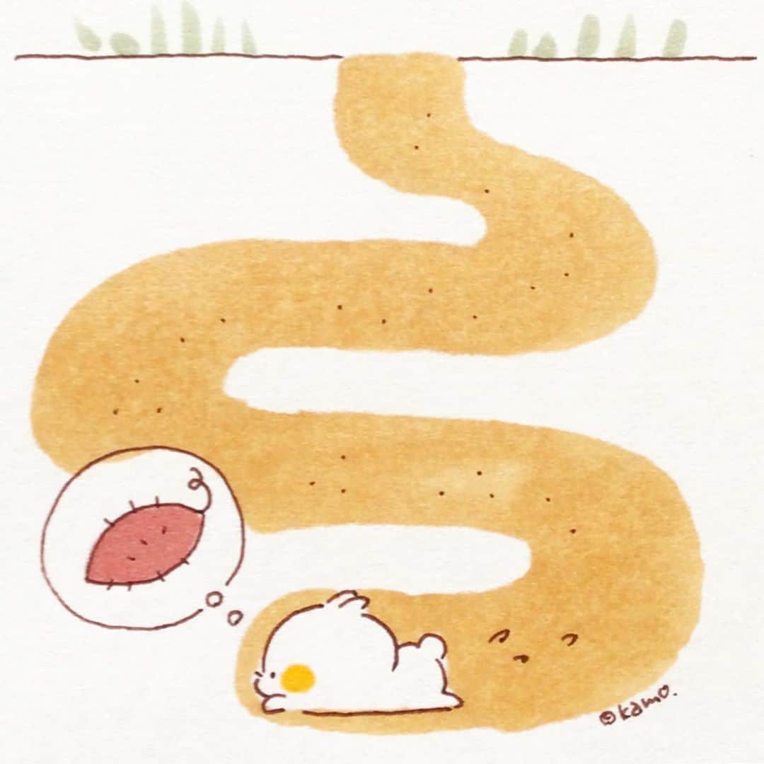 カモさんのインスタグラム写真 - (カモInstagram)「お芋を求めて #サツマイモの日#サツマイモ#sweetpotato#モグラ#mole#イラスト#illustration#ウサギタケ#usagitake」10月13日 9時59分 - illustratorkamo