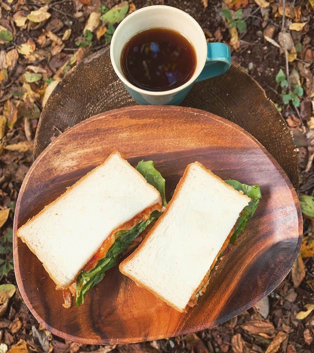 黒木桃子のインスタグラム：「#森の朝ごはん　🌳  良い気候なので 今日はお外で朝ごはんに。  鳥さん、増えてきた。🕊✨  地元の食材と自家製ケチャップを使って、 サンドイッチにしたよ🥪  一日がんばろう✨  #朝時間 #朝ごはん #森」
