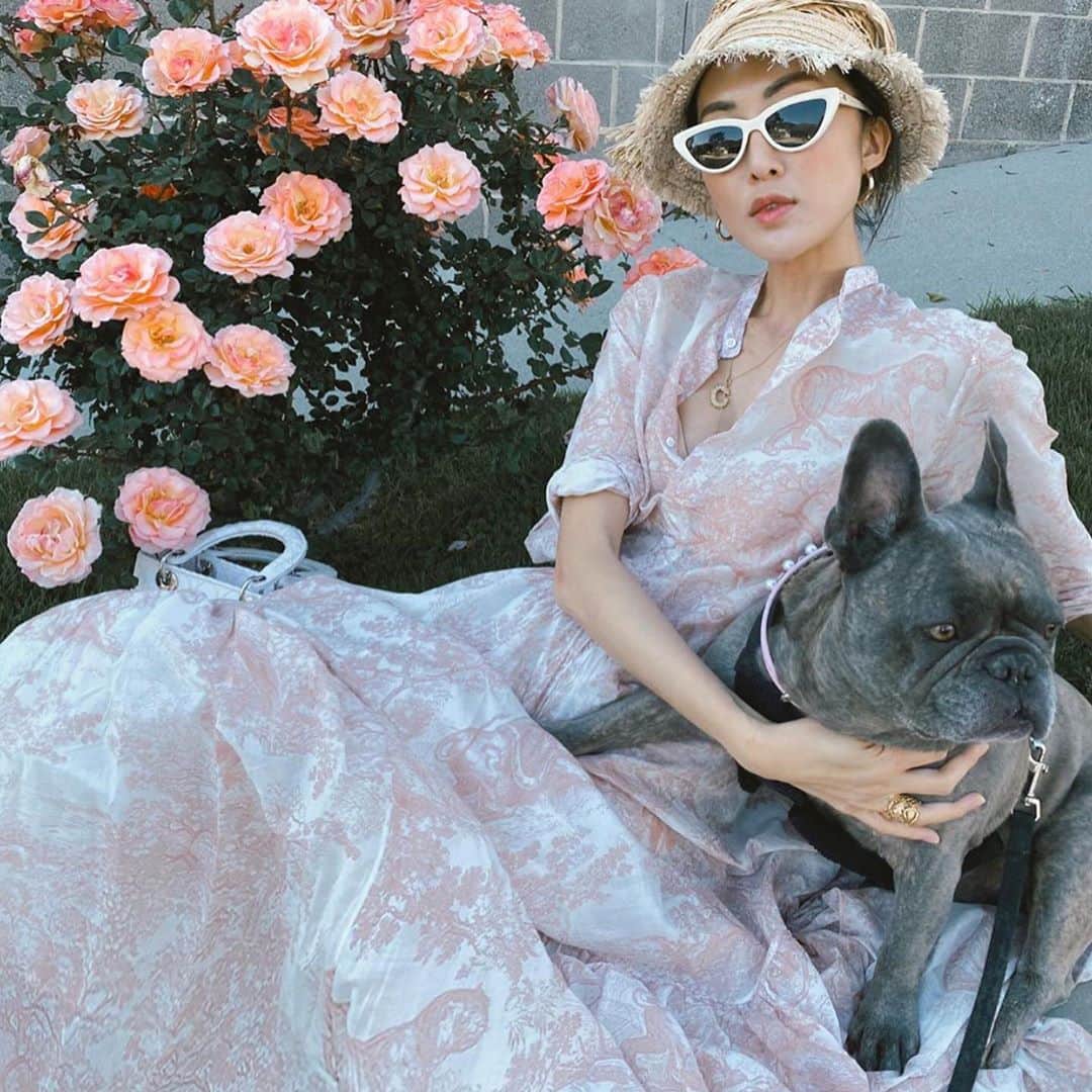クリッセル・リムさんのインスタグラム写真 - (クリッセル・リムInstagram)「When mignon first met Chloé he would just lay next to her, lay on her, and would ALWAYS just be by her side. We always knew he had a closeness with Chloé, but we didn’t realize how much until he passed away right next to her (she was in her virtual class when this happened). Chloé didn’t realize as he was just laying next to her like he always does. He wanted to be by her side from the beginning til the end 🥺  Mignon passed away 2 weeks ago due to some health complications. It has been a really hard past few weeks for us and our hearts have been shattered. This is our first experience losing an animal friend, and we honestly didn’t expect it to be this hard. He was our first child even before the girls came into our lives. Mignon came into our lives and taught us about love, and now that he has  departed us he has taught us about loss. Thank you Mignon for all the memories. You will live in our hearts forever.  We love you Mignon and are thinking about you every day and miss you so much 🥺.」10月13日 1時40分 - chrisellelim