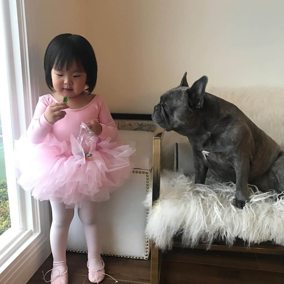 クリッセル・リムさんのインスタグラム写真 - (クリッセル・リムInstagram)「When mignon first met Chloé he would just lay next to her, lay on her, and would ALWAYS just be by her side. We always knew he had a closeness with Chloé, but we didn’t realize how much until he passed away right next to her (she was in her virtual class when this happened). Chloé didn’t realize as he was just laying next to her like he always does. He wanted to be by her side from the beginning til the end 🥺  Mignon passed away 2 weeks ago due to some health complications. It has been a really hard past few weeks for us and our hearts have been shattered. This is our first experience losing an animal friend, and we honestly didn’t expect it to be this hard. He was our first child even before the girls came into our lives. Mignon came into our lives and taught us about love, and now that he has  departed us he has taught us about loss. Thank you Mignon for all the memories. You will live in our hearts forever.  We love you Mignon and are thinking about you every day and miss you so much 🥺.」10月13日 1時40分 - chrisellelim