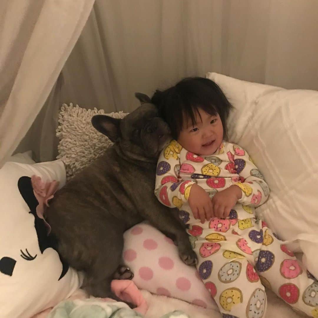 クリッセル・リムさんのインスタグラム写真 - (クリッセル・リムInstagram)「When mignon first met Chloé he would just lay next to her, lay on her, and would ALWAYS just be by her side. We always knew he had a closeness with Chloé, but we didn’t realize how much until he passed away right next to her (she was in her virtual class when this happened). Chloé didn’t realize as he was just laying next to her like he always does. He wanted to be by her side from the beginning til the end 🥺  Mignon passed away 2 weeks ago due to some health complications. It has been a really hard past few weeks for us and our hearts have been shattered. This is our first experience losing an animal friend, and we honestly didn’t expect it to be this hard. He was our first child even before the girls came into our lives. Mignon came into our lives and taught us about love, and now that he has  departed us he has taught us about loss. Thank you Mignon for all the memories. You will live in our hearts forever.  We love you Mignon and are thinking about you every day and miss you so much 🥺.」10月13日 1時40分 - chrisellelim