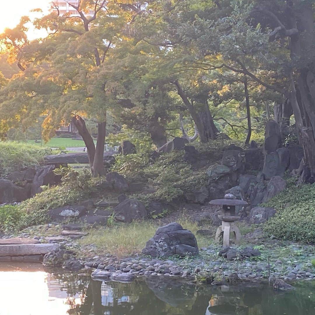 関口愛美さんのインスタグラム写真 - (関口愛美Instagram)「見上げるとビルや建物が多くてしょんぼり…と目線を下げたら花が咲いていましたよ…☺️  #小石川後楽園 #彼岸花 #庭園 #日本庭園 #japanesegarden #tokyo」10月13日 2時00分 - sekiguchiaimi