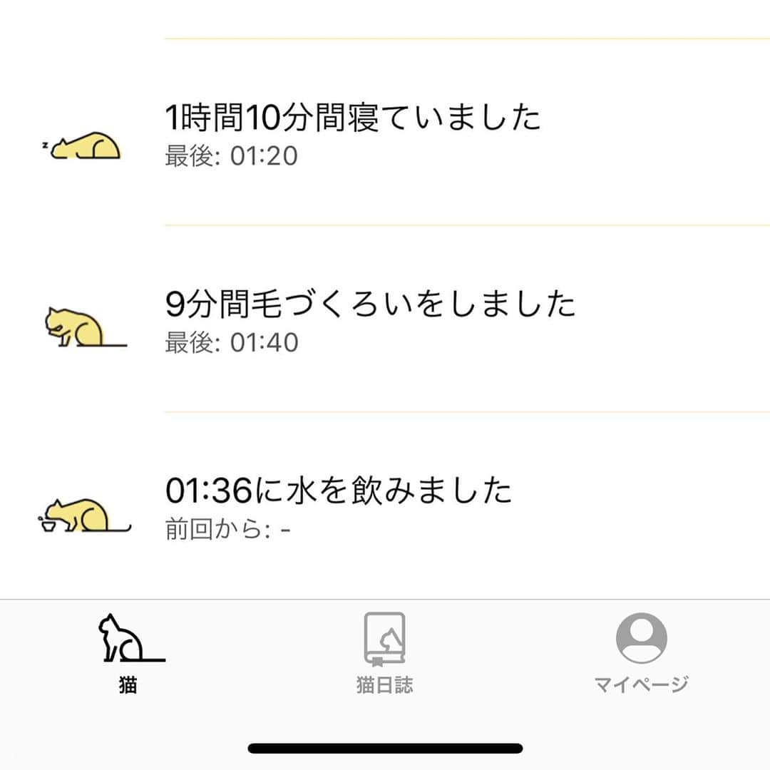 赤西涼のインスタグラム：「キャットログに追加されたお水の機能本当にありがたい😭 そしてシッターさんから日々送られてくるらいちゃんの様子とたくさんの写真嬉しい😭😭 でもってペットカメラに興味を持つらいちゃんかわいい😭😭😭💕💕💕 おやぷにやさい🍆🍅🌽」