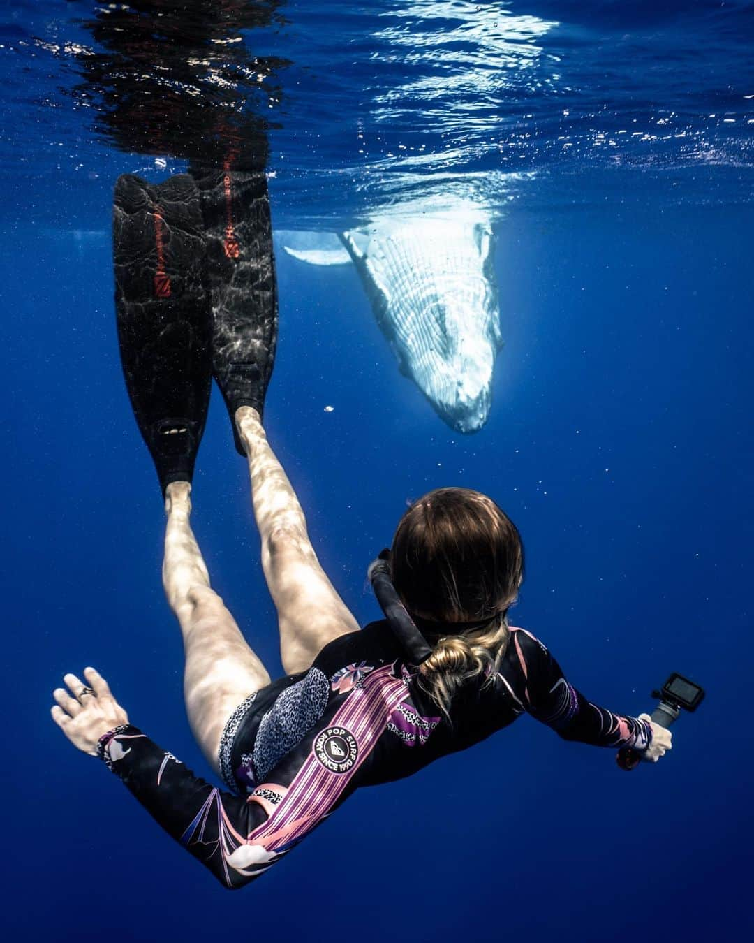 ロキシーさんのインスタグラム写真 - (ロキシーInstagram)「Magical moments in Tahiti with @heylindsaymc 🐳 rocking our 1mm #POPsurf Long Sleeve wetsuit made with eco-fabrication 📷 @matthew.reichel」10月13日 2時20分 - roxy