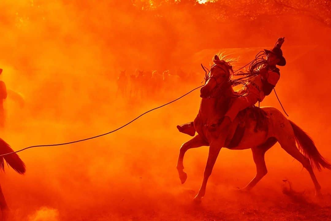 マリオ・テスティーノさんのインスタグラム写真 - (マリオ・テスティーノInstagram)「VAQUEROS. Called ‘cowboys’ in English, in Spanish I grew up knowing them as ‘vaqueros’. Colombia has beautiful plains, called ‘los llanos”’, a place where the cowboy lifestyle is just everyday life.  Growing up, my father loved horse racing and I became interested in these amazing animals. I love riding and knowing about how different each breed can be from the other.   For this shoot, we got up at 4 in the morning and then worked until the end of day. Usually, when you start very early, you don’t work into the evening or you shoot morning and evening, but not during the day. But I wanted to capture it all. Photography is amazing as you always want to document what you see. At times, it was so dark I could hardly see, but the colors came out like this. Magical. _ VAQUEROS. Llamados "cowboys" en inglés, en español crecí conociéndolos como "vaqueros". En la hermosa región colombiana de los llanos, el estilo de vida del vaquero es el cotidiano.  A mi padre le encantaban las carreras de caballos e hizo que me interesara por estos animales increíbles. Me encanta montar y saber lo diferente que puede ser cada raza de la otra. Para esta sesión, nos levantamos a las 4 de la mañana y luego trabajamos hasta el final del día. Por lo general, cuando comienzas muy temprano, no trabajas hasta la noche o haces fotos por la mañana y por la noche, pero no durante el día. Pero fuimos de corrido porque quería capturarlo todo. La fotografía es increíble y uno siempre quiere documentar lo que ve. En algunos momentos casi no podía ver lo que hacía a causa de la oscuridad pero los colores salían así. Mágicos.   #ABeautifulWorld #2019 #MarioTestino」10月13日 2時20分 - mariotestino