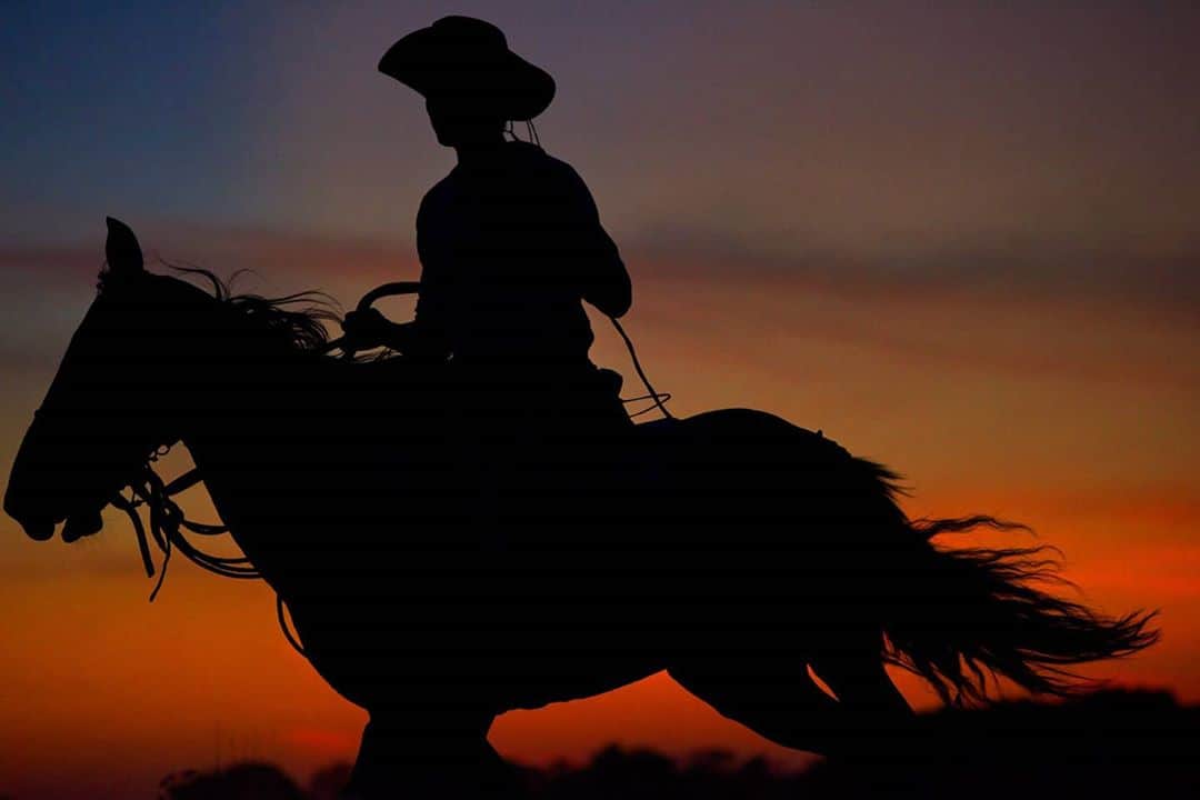 マリオ・テスティーノのインスタグラム：「VAQUEROS. Called ‘cowboys’ in English, in Spanish I grew up knowing them as ‘vaqueros’. Colombia has beautiful plains, called ‘los llanos”’, a place where the cowboy lifestyle is just everyday life.  Growing up, my father loved horse racing and I became interested in these amazing animals. I love riding and knowing about how different each breed can be from the other.   For this shoot, we got up at 4 in the morning and then worked until the end of day. Usually, when you start very early, you don’t work into the evening or you shoot morning and evening, but not during the day. But I wanted to capture it all. Photography is amazing as you always want to document what you see. At times, it was so dark I could hardly see, but the colors came out like this. Magical. _ VAQUEROS. Llamados "cowboys" en inglés, en español crecí conociéndolos como "vaqueros". En la hermosa región colombiana de los llanos, el estilo de vida del vaquero es el cotidiano.  A mi padre le encantaban las carreras de caballos e hizo que me interesara por estos animales increíbles. Me encanta montar y saber lo diferente que puede ser cada raza de la otra. Para esta sesión, nos levantamos a las 4 de la mañana y luego trabajamos hasta el final del día. Por lo general, cuando comienzas muy temprano, no trabajas hasta la noche o haces fotos por la mañana y por la noche, pero no durante el día. Pero fuimos de corrido porque quería capturarlo todo. La fotografía es increíble y uno siempre quiere documentar lo que ve. En algunos momentos casi no podía ver lo que hacía a causa de la oscuridad pero los colores salían así. Mágicos.   #ABeautifulWorld #2019 #MarioTestino」