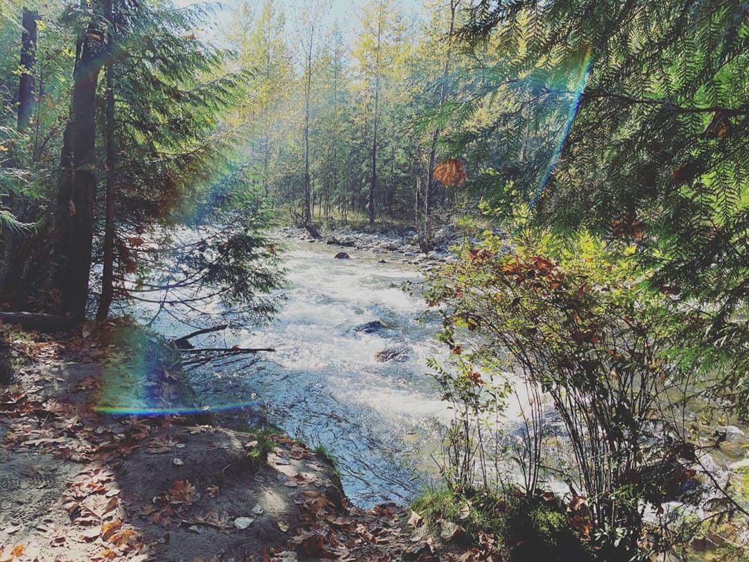 プリシラ・アーンのインスタグラム：「Feeling incredibly thankful today to our friends in Canada who have become like family...for all the trails, beaches, and fields that have kept my family inspired and in awe...and for the First Nations, Inuit, and Métis, who were some of the first to call this place home.   #thanksgiving #canada #indigenouslivesmatter」