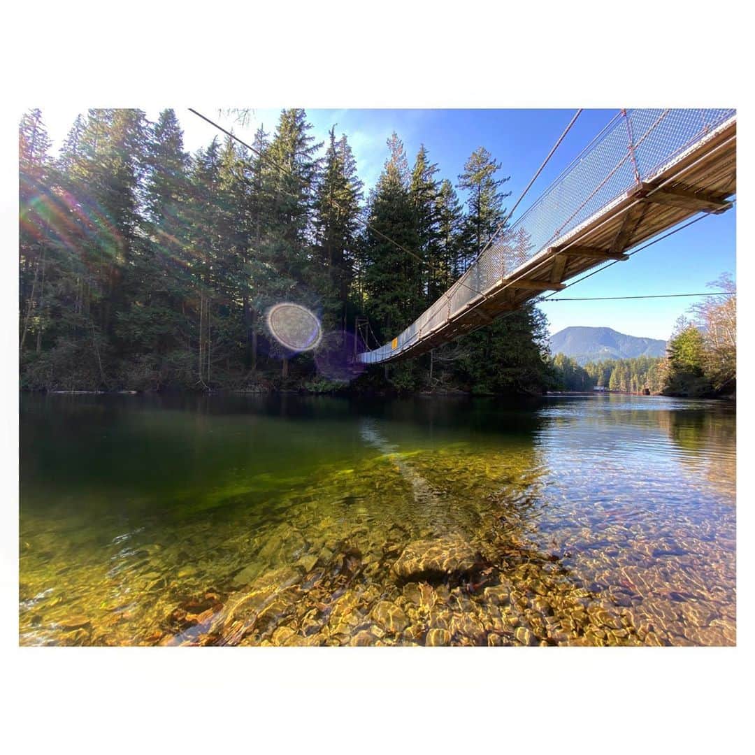 のインスタグラム：「Finding moments of peace feels hard these days. To escape our over thinking minds and be present. Sit. Take a breath. Find Gratitude. Happy 🇨🇦 Thanksgiving!! 🍁」