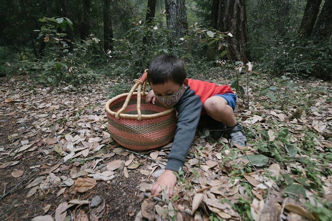 National Geographic Creativeさんのインスタグラム写真 - (National Geographic CreativeInstagram)「Photo by @kiliiiyuyan / Dennis Donahue, a Karuk tribal member, picks acorns for with his mom Maymi within earshot, learning the subsistence traditions of his culture. His mother says she fed her kids acorn meal from an early age so they would learn to love the taste of their traditional food. Today is Indigenous Peoples' Day, a time to celebrate the incredible resilience of the world’s first peoples. Today I see a generation of Native youth that has worked hard to decolonize, leading their communities back to revitalized identities and traditional ways of life. We are reclaiming the lands, culture, and traditional knowledge that allowed us to live closely with the natural world for thousands of years. Today is a day to remember the sacrifices of our ancestors, but also a day to give thanks to all the things that support us, and look ahead to the generations that will come after us.」10月13日 3時57分 - natgeointhefield