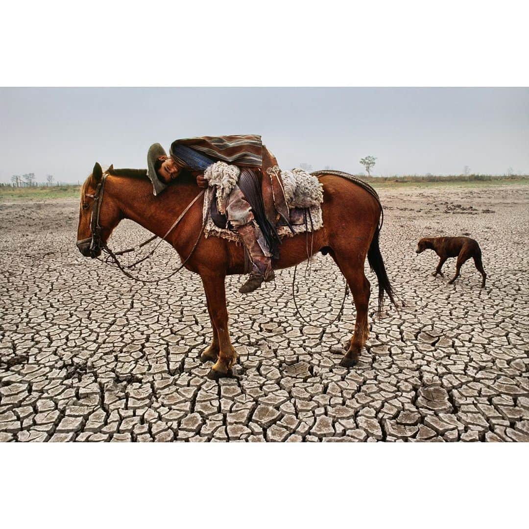 スティーブ・マカリーさんのインスタグラム写真 - (スティーブ・マカリーInstagram)「A cowboy leans on his horse in the #Chaco region of #Paraguay, one of the driest and deforested regions of South America. 1988.  #SteveMcCurry」10月13日 4時51分 - stevemccurryofficial