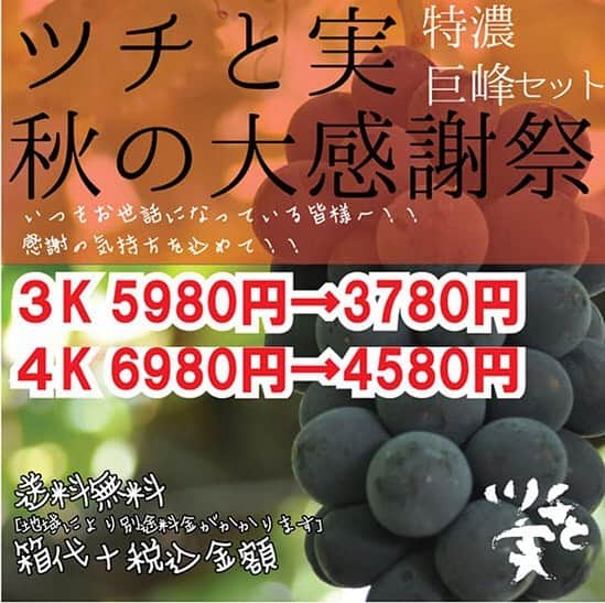 甲州 ほうとう 完熟屋 本店のインスタグラム：「姉妹農場のツチと実の営業が今年も終わりました^_^ ツチと実スタッフから、特濃巨峰のドドンパセールの案内が届いてます！ ぜひご利用ください^_^  ※※※ ※※※ ※※※ ※※※  本年も無事ぶどう狩りは終了致しました^_^ 今年もたくさんのお客様に来ていただきスタッフ一同本当に感謝です🙇‍♂️  今年はコロナにど特に難しい年でした！来年は収まっていることを祈るばかりです！  という訳で、感謝を込めて今年の最終の巨峰のドドンパセールを開催しています！ 残り僅か！ 早い者勝ちです！  ぜひお買い求めください！  ドドンパセール 特濃巨峰はねだしセット ★☆送料無料☆★  箱代＋税込金額 [地域により別途料金がかかります]  ３キロ　[通常]５９８０円→３７８０円 ４キロ　[通常]６９８０円→４５８０円　最安おすすめ  ☆.｡:･★.｡:*･☆.｡:*☆.｡:*･★.｡:*･☆  ドドンパセールのご注文はコチラから ↓↓↓↓↓↓ http://hototo.shop-pro.jp/  ☆.｡:･★.｡:*･☆.｡:*☆.｡:*･★.｡:*･☆  ※①先着順で発送をさせていただきます。 【収穫量次第で発送出来ないことがあります。ご了承ください。】 ※②カード決済・代金引換のみのご注文になります。 　　銀行振込はご利用いただけません。 →発送出来なかった場合は、カード決済取り消しのお知らせをメール致します。 ※③ご注文から７日以内には発送致します。 ※④日時指定不可 ※⑤ハネダシ品[B品]の発送となります。 【はねだし：若干色の赤い部分や粒の抜けで形が崩れているもの】 ※⑥種有り巨峰と種無し巨峰が混ざっています。 ※⑦完熟しており、なるべく早くお召し上がりください。  #山梨 #巨峰 #ドドンパセール #今年も #ありがとうございました」