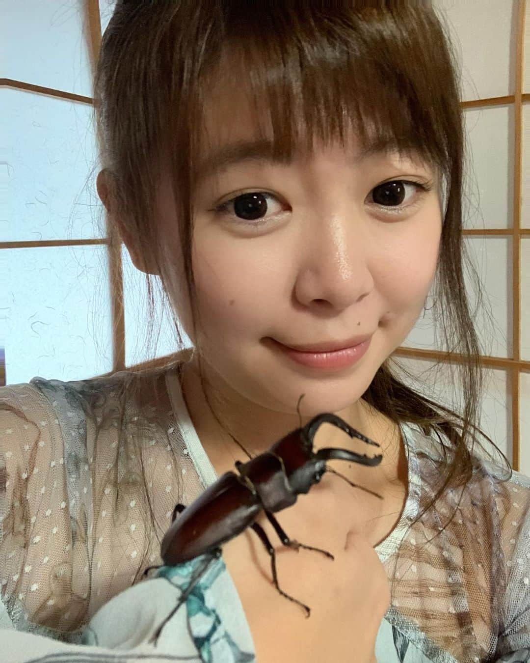 野澤美仁のインスタグラム