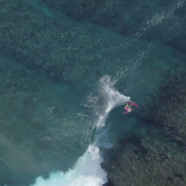 フェリシティー・パルマティアーのインスタグラム：「My idea of fun 🏄🏼‍♀️ @lawrence_photo」