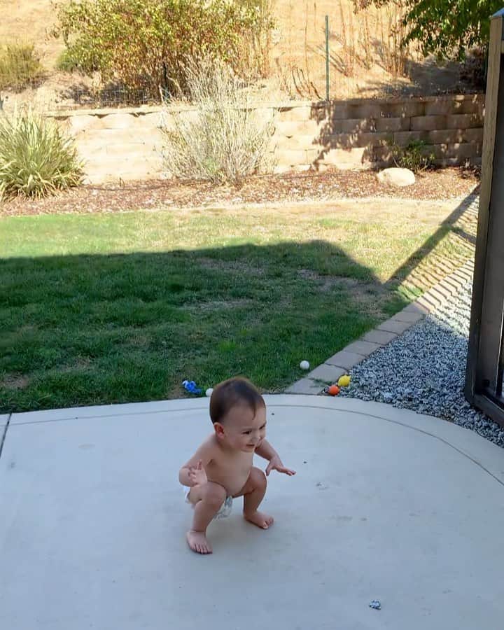 Tianna Gregoryのインスタグラム：「My dog lover 😍😍 always rocking her @parasolco diapers」