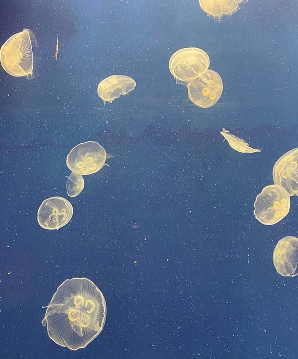 グラフ&ランツのインスタグラム：「A #mondaymotivation to go with the flow 〰️ via @jillburro_w」