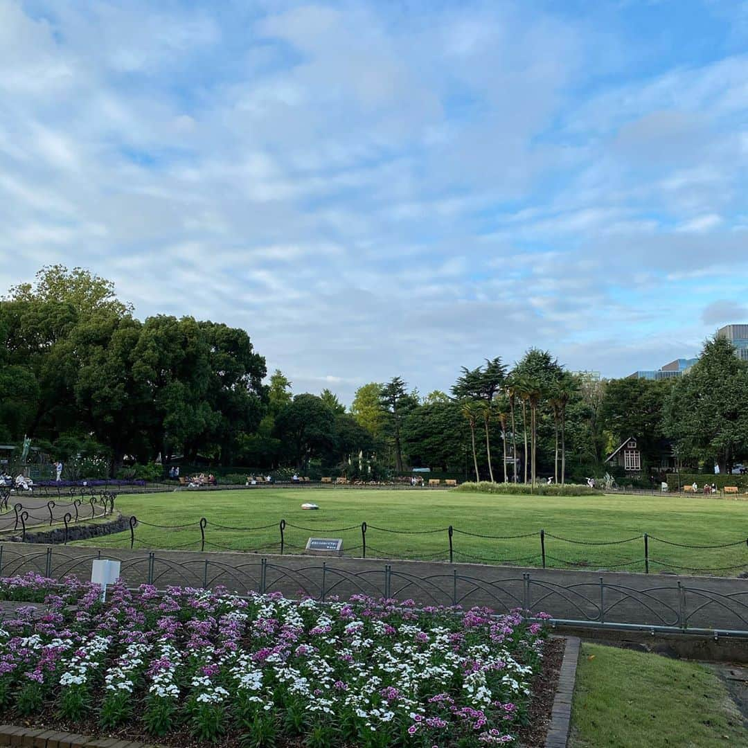 武藤乃子さんのインスタグラム写真 - (武藤乃子Instagram)「🍁 日比谷公園。  #日比谷公園  #秋 #噴水 #都心のオアシス  #散歩」10月13日 7時30分 - muto_noriko.11