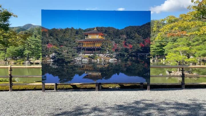 東京DANDYのインスタグラム：「The Golden Pavilion, a World Heritage Site, is one of Kyoto's most iconic buildings. A couple of weeks ago, I read that the current lack of tourists caused by Japan's strict COVID travel restrictions had presented an opportunity for major restorations. While the gold-leaf-covered building itself remains under wraps, a replica image of the scene on a sunny Autumn day has been installed beside the pond. Photography is by its definition a slice of time. For this 600-year-old building, this is a significant but relatively brief moment and soon people will be back to marvel at its beauty.  (*current government speculation is Japan will start opening to restricted inbound tourist travel from April 2021 in the process of normalization proceeding the Tokyo Olympics.)  (** The current building is not actually 600 years old, it was destroyed by arson in the 1950, an incident that inspired Mishima's book 'The Temple of the Golden Pavilion')   #金閣寺 #Kinkakuji #TravelJapan #GoldenPavillion #GoldenShrine #Japan #Kyoto #iphone11pro」
