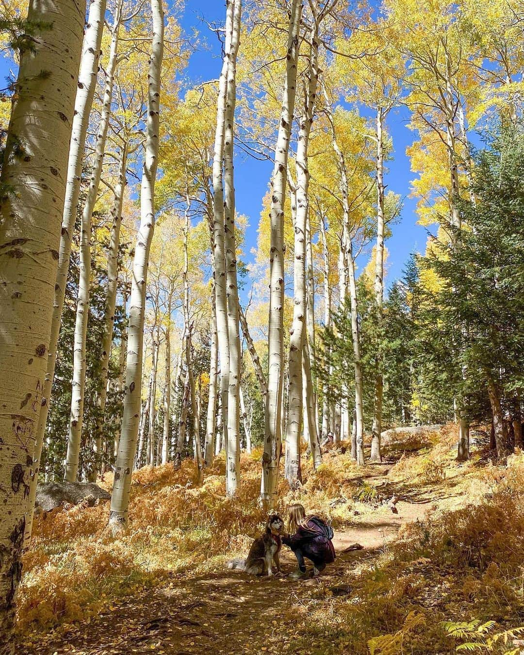 REIさんのインスタグラム写真 - (REIInstagram)「Last week we asked you to get outside for a fall hike and share your photos with us. Here are some of our favorites from this #REIchallenge!  Photos: @indiegramz, @samanthadeflitch, @raquelbartelt and socalgaltravels」10月13日 8時25分 - rei